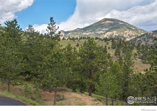 1078 Crestview Ct, Estes Park, CO 80517