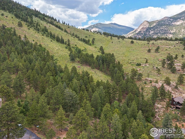 1078 Crestview Ct, Estes Park, CO 80517
