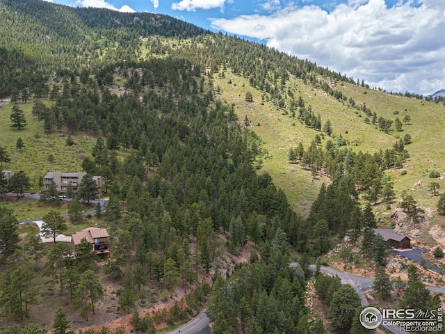 1078 Crestview Ct, Estes Park, CO 80517