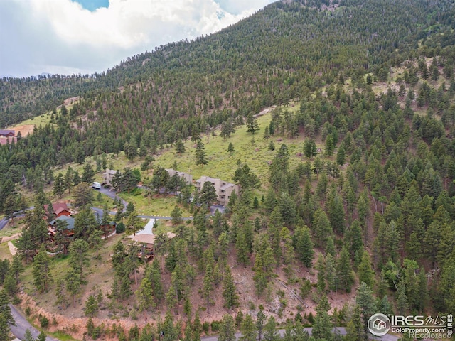 1078 Crestview Ct, Estes Park, CO 80517