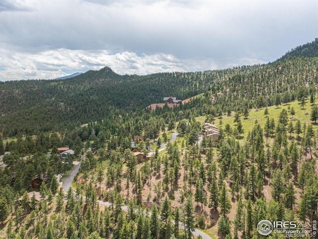1078 Crestview Ct, Estes Park, CO 80517