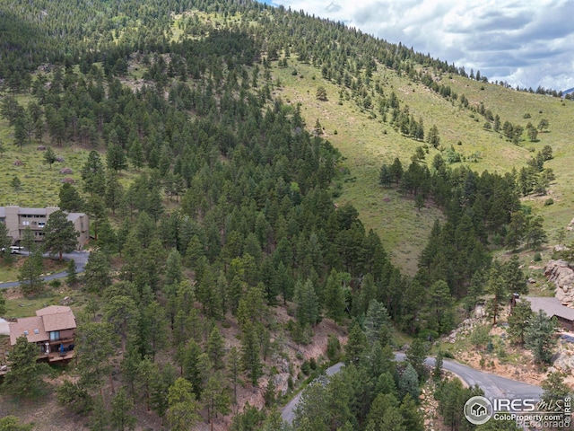 1078 Crestview Ct, Estes Park, CO 80517