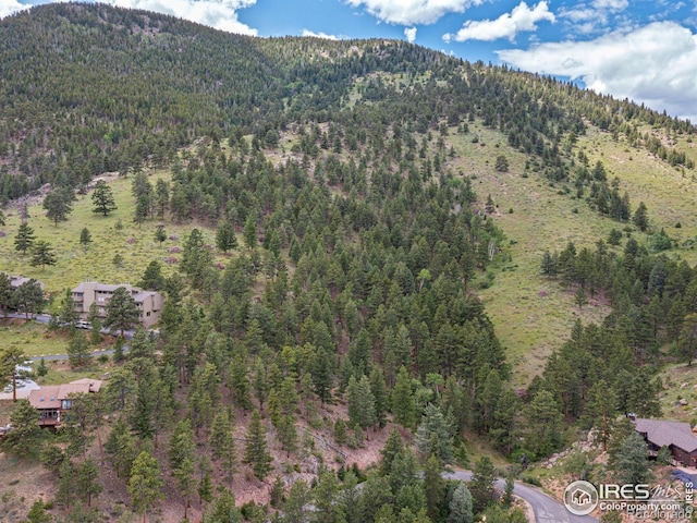 1078 Crestview Ct, Estes Park, CO 80517