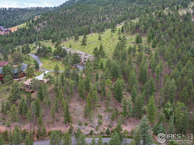 1078 Crestview Ct, Estes Park, CO 80517