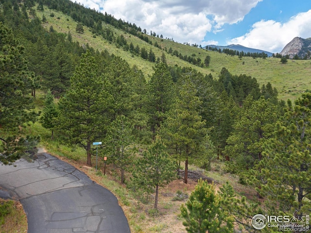 1078 Crestview Ct, Estes Park, CO 80517