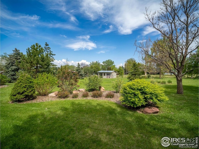view of grassy yard