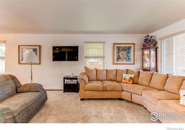 11656 Logan St, Northglenn, CO 80233 - carpeted living area featuring plenty of natural light and baseboards
