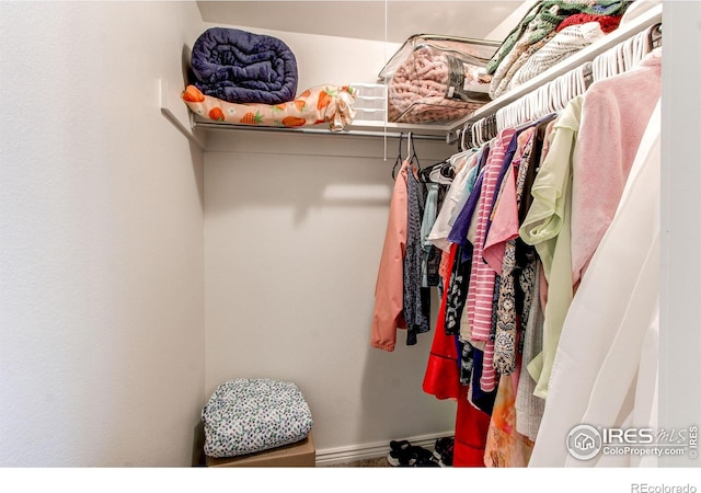 11656 Logan St, Northglenn, CO 80233 - view of walk in closet