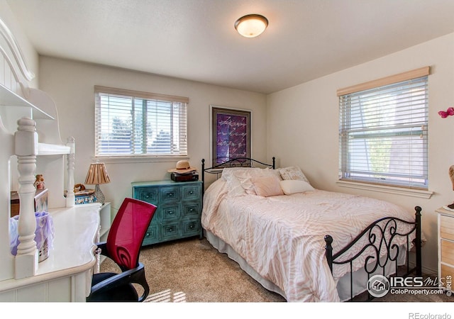 11656 Logan St, Northglenn, CO 80233 - bedroom with light carpet