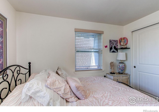 11656 Logan St, Northglenn, CO 80233 - view of bedroom