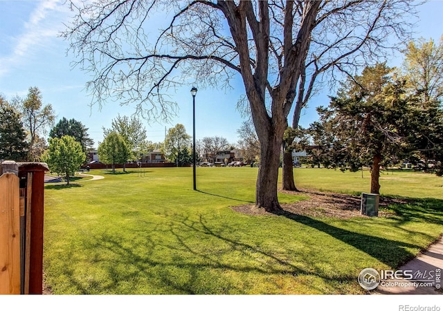 11656 Logan St, Northglenn, CO 80233 - view of green lawn