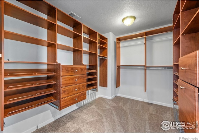 2458 Vale Way, Erie, CO 80516 - walk in closet featuring carpet flooring