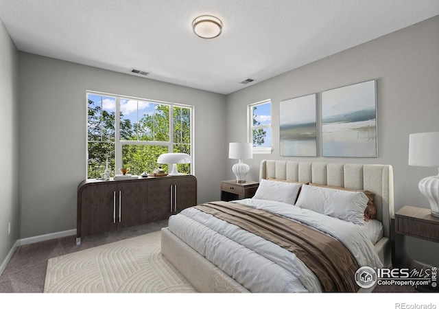 2458 Vale Way, Erie, CO 80516 - bedroom with carpet floors and baseboards