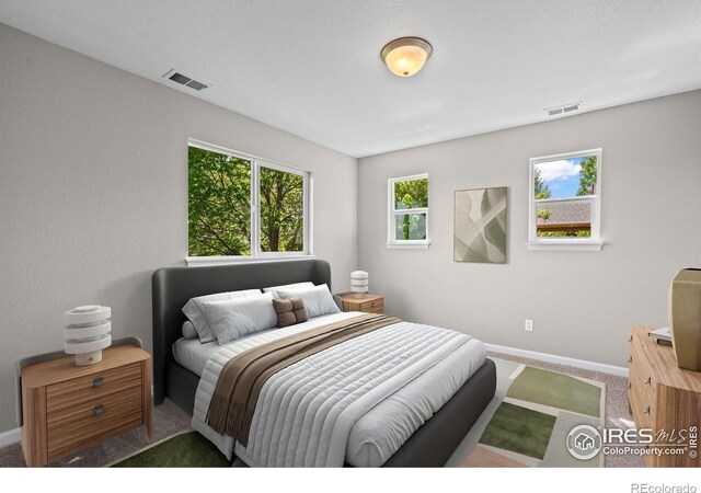 2458 Vale Way, Erie, CO 80516 - bedroom featuring baseboards and carpet flooring