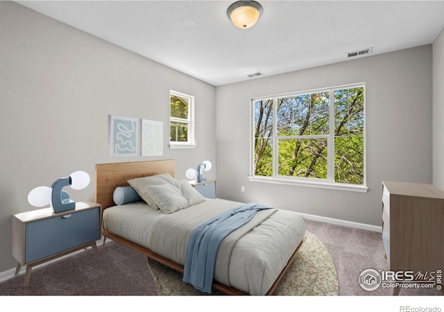 2458 Vale Way, Erie, CO 80516 - bedroom featuring carpet and baseboards