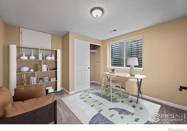 2458 Vale Way, Erie, CO 80516 - office space with baseboards and carpet flooring