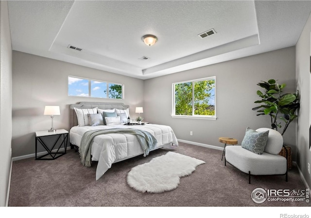 2458 Vale Way, Erie, CO 80516 - bedroom featuring a tray ceiling, baseboards, carpet, and a textured ceiling
