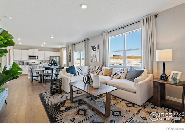 living room featuring light wood-style floors and recessed lighting