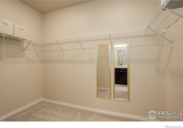 3051 County Fair Ln Unit 2, Fort Collins, CO 80528 - walk in closet featuring light colored carpet