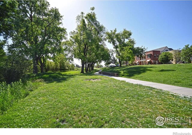 401 Mason Ct Unit 203, Fort Collins, CO 80524 - view of grassy yard