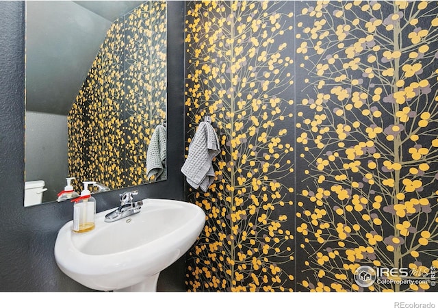 401 Mason Ct Unit 203, Fort Collins, CO 80524 - bathroom with a sink and vaulted ceiling