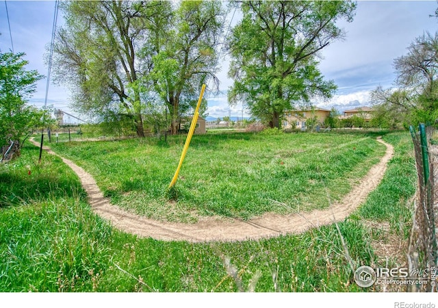 150 Francis St, Longmont, CO 80501 - photo 12