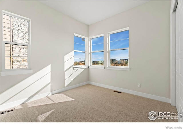 1670 Winter Glow Dr, Windsor, CO 80550 - photo 11