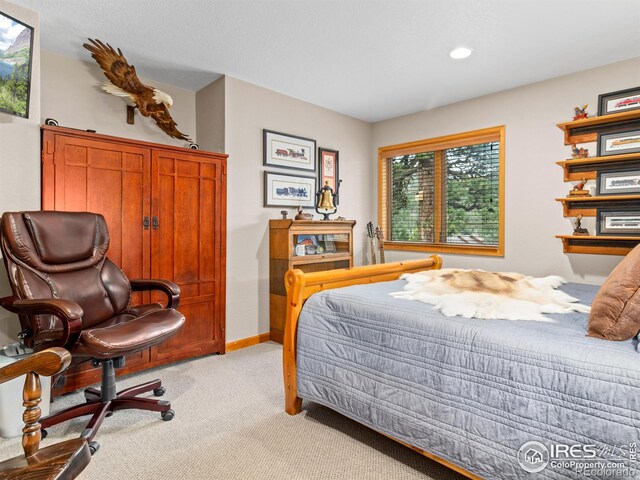 658 Cedar Ridge Cir, Estes Park, CO 80517 - bedroom featuring light colored carpet, baseboards, and recessed lighting