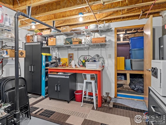 658 Cedar Ridge Cir, Estes Park, CO 80517 - view of storage area