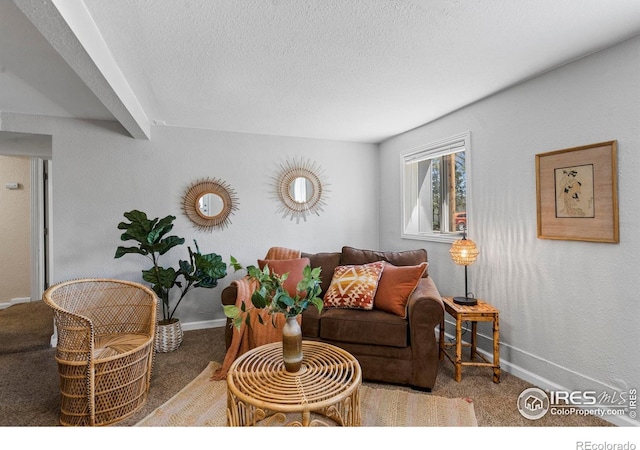 living area featuring carpet floors, baseboards, and a textured ceiling
