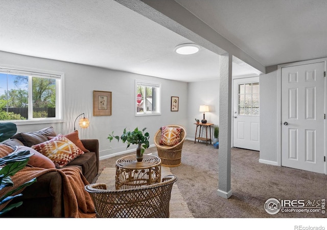 carpeted living area featuring healthy amount of natural light, baseboards, and a textured ceiling