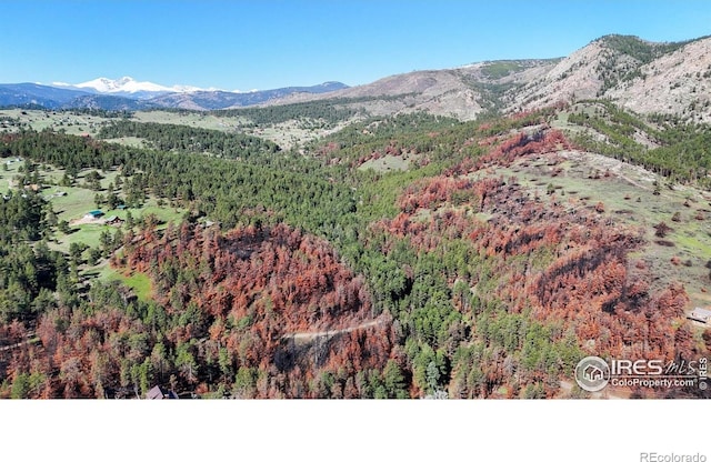 1841 Spruce Mountain Dr, Drake, CO 80515