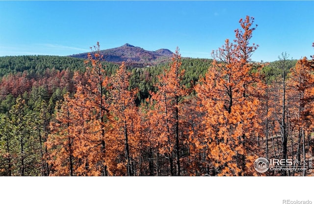 1841 Spruce Mountain Dr, Drake, CO 80515
