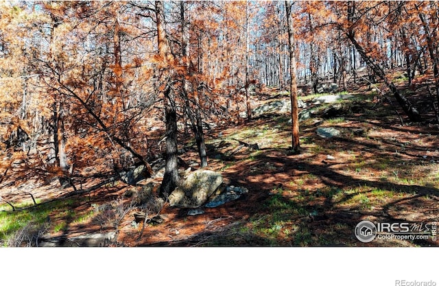 1841 Spruce Mountain Dr, Drake, CO 80515