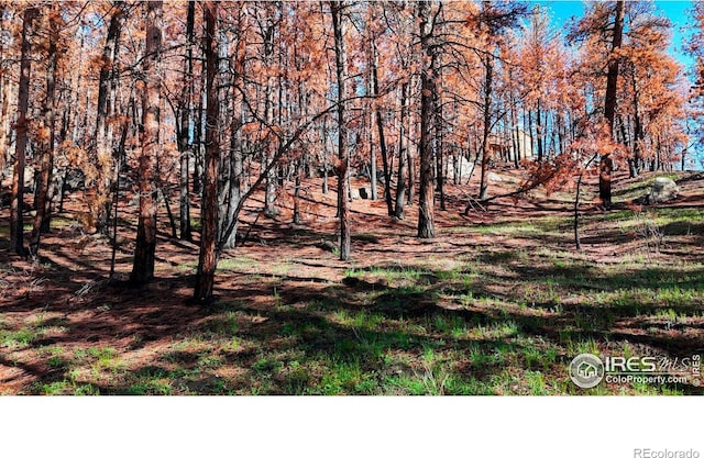 1841 Spruce Mountain Dr, Drake, CO 80515