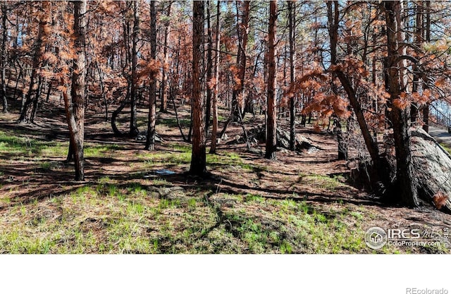 1841 Spruce Mountain Dr, Drake, CO 80515