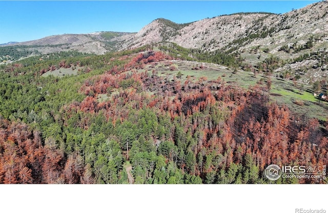 1841 Spruce Mountain Dr, Drake, CO 80515