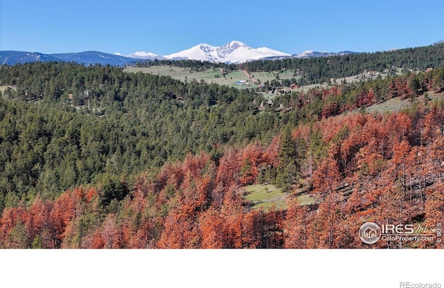 1841 Spruce Mountain Dr, Drake, CO 80515