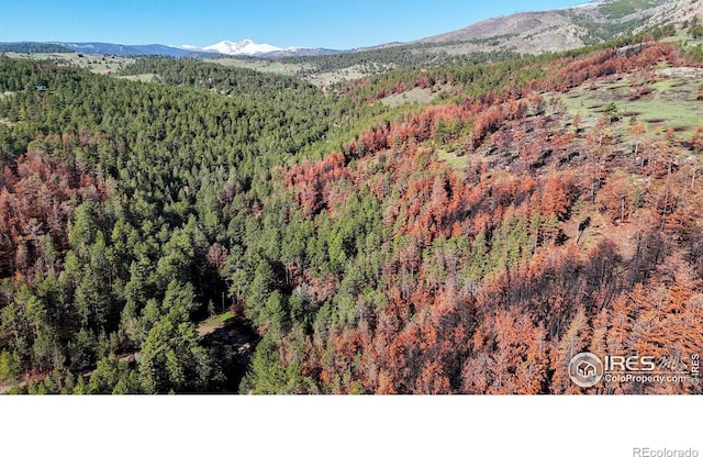 1841 Spruce Mountain Dr, Drake, CO 80515