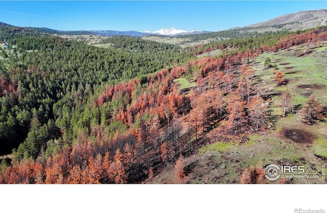 1841 Spruce Mountain Dr, Drake, CO 80515