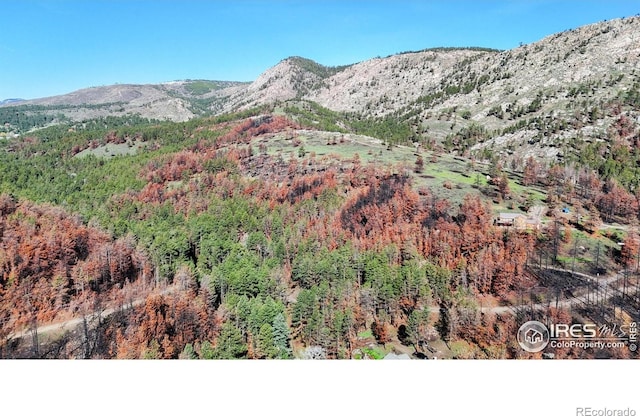 1841 Spruce Mountain Dr, Drake, CO 80515