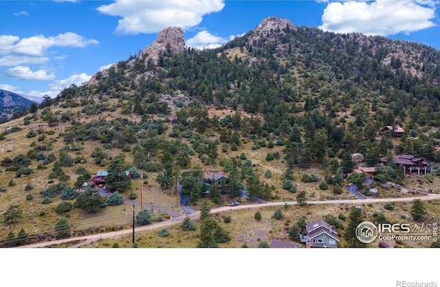 1433 Vista View Ln, Estes Park, CO 80517 - view of mountain background with a forest