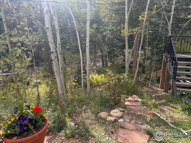 820 Riverside Dr, Lyons, CO 80540