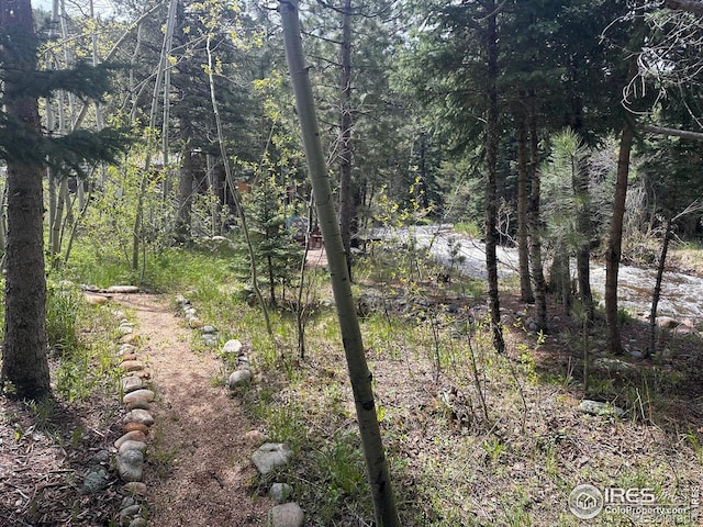 820 Riverside Dr, Lyons, CO 80540