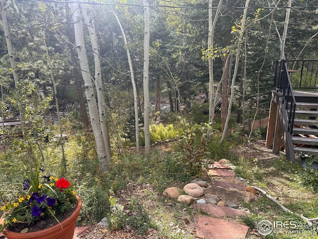 820 Riverside Dr, Lyons, CO 80540