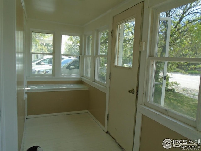 116 Walnut St, Windsor, CO 80550