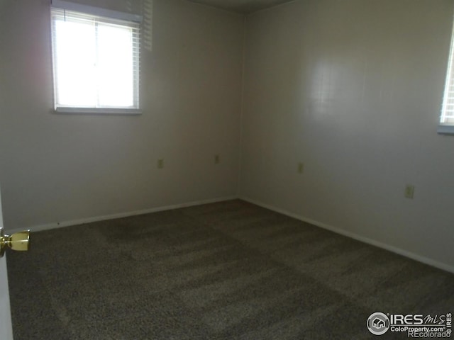 116 Walnut St, Windsor, CO 80550