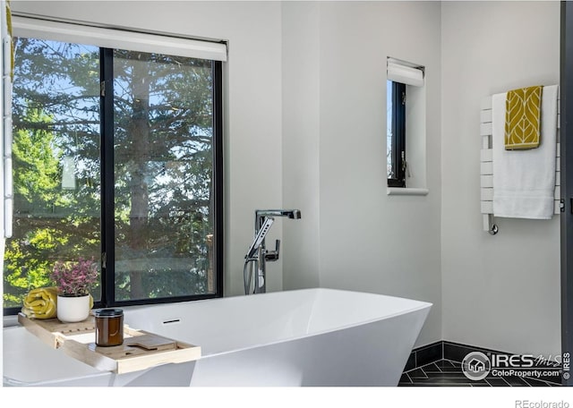 505 Geneva Ave, Boulder, CO 80302 - full bathroom with plenty of natural light, a freestanding bath, baseboards, and a sink