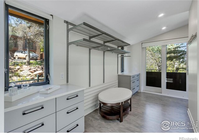 505 Geneva Ave, Boulder, CO 80302 - spacious closet featuring vaulted ceiling and wood finished floors