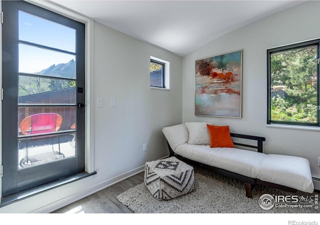 505 Geneva Ave, Boulder, CO 80302 - living area with wood finished floors, healthy amount of natural light, lofted ceiling, and baseboards